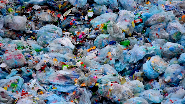 World Environment Day 2018 – Beat Plastic Pollution